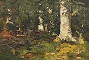 Birch Forest